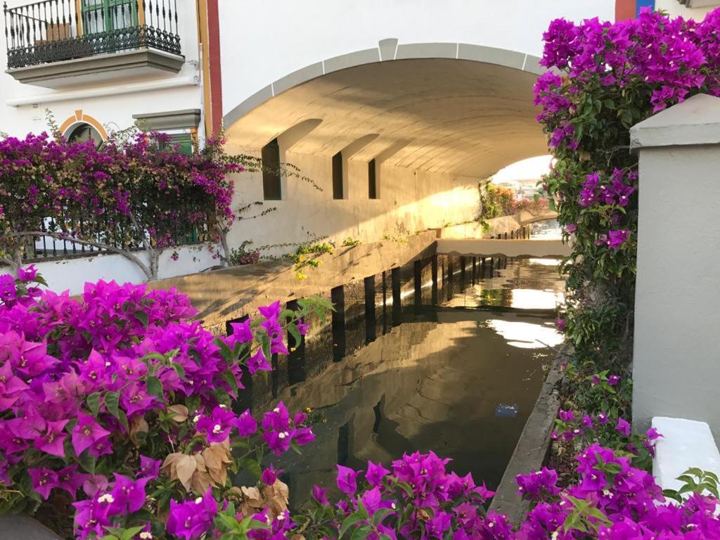 Apartamento El Cercado โมกัน ภายนอก รูปภาพ